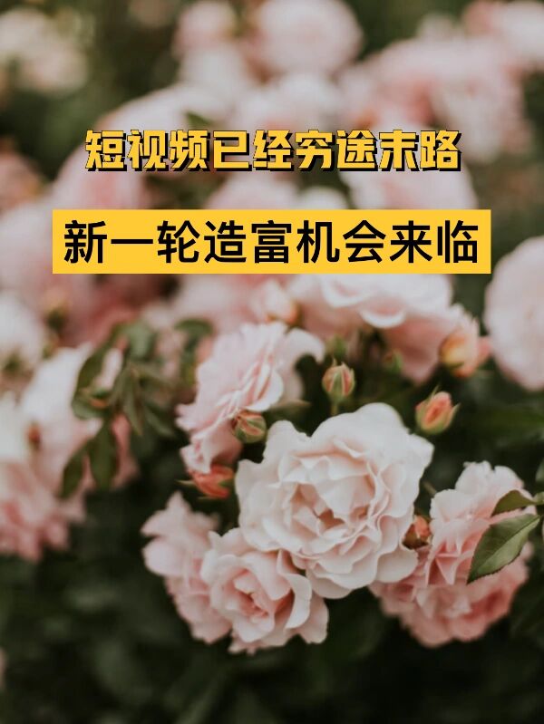 社区反馈称，DeFi迎来新一轮爆发