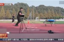 SHIB打破年内纪录，走高幅高达16.11%，还能否继续追涨？
